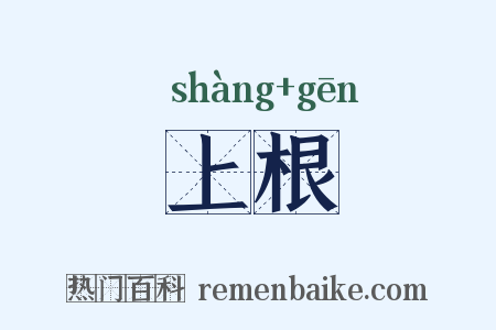 上根是什么意思的图片